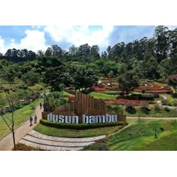 Tempat Outbound di Bandung - Outbound Lembang Terpopuler